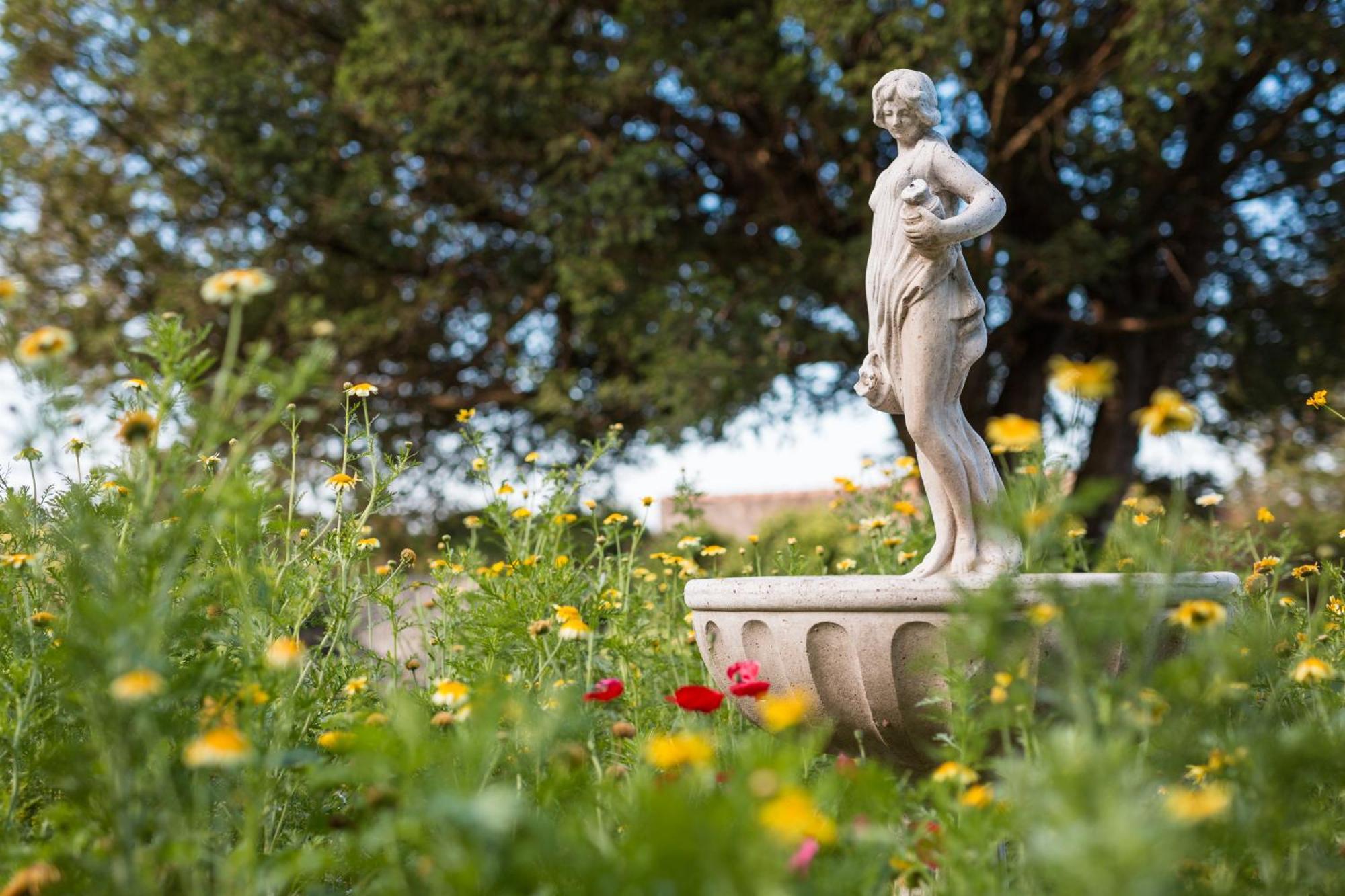 Chateau Montplaisir Charming B&B In Provence Valréas المظهر الخارجي الصورة